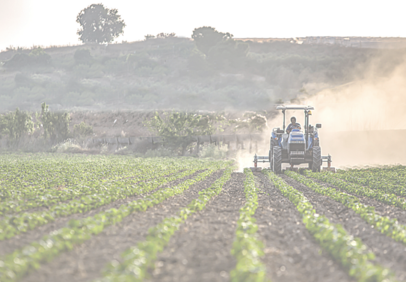 agriculture