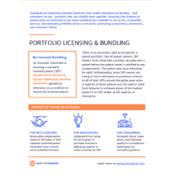 thumbnail - portfolio licensing